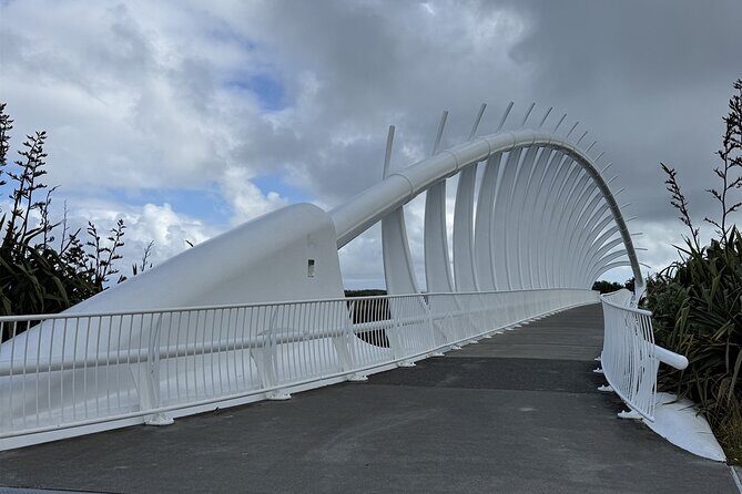 Multi Day Tour to New Plymouth and Taranaki Region from Hamilton - Final Thoughts