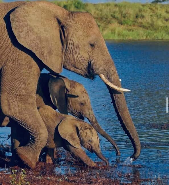 **"Multi-Days Camping Safari Adventure: Tanzania & Kenya"** - An In-Depth Look at the Safari Experience