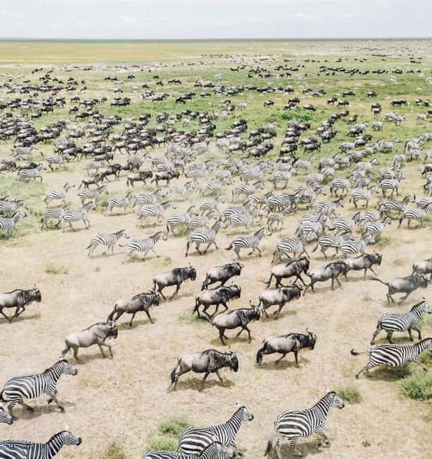 **"Multi-Days Camping Safari Adventure: Tanzania & Kenya"** - What’s Not Included and How to Prepare
