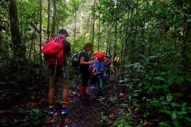 Mulu Headhunter's Trail - 3 Days Trekking & Cultural Experience - Key Points
