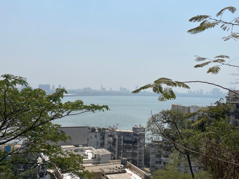 Mumbai + Dabbawalla + Slum + and Dhobighat Tour with Pickup - FAQ