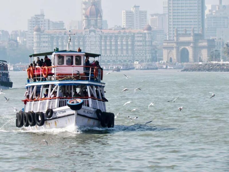 Mumbai: Elephanta Island Caves Tour - Explore a UNESCO Gem - Who Should Consider This Tour?