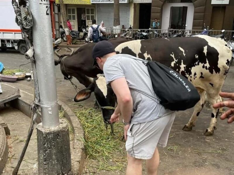 Mumbai: Essentials Group City Sightseeing Tour - FAQ