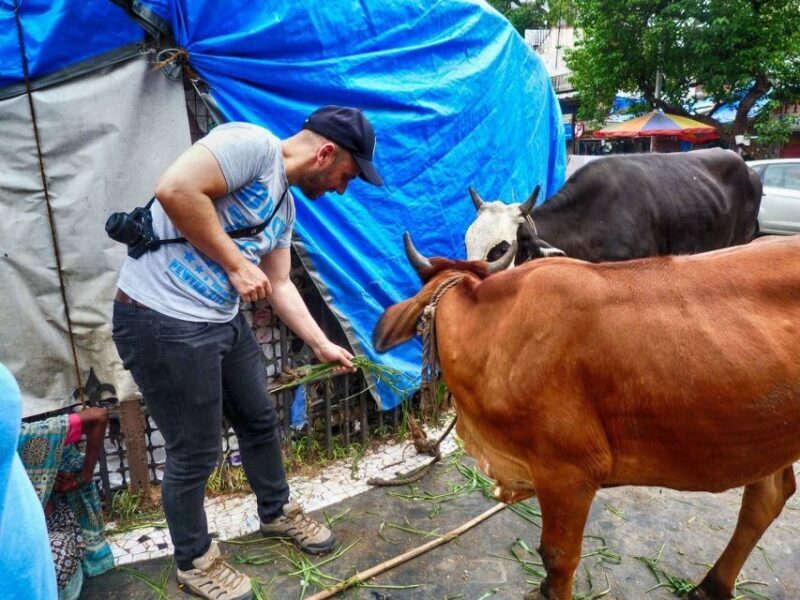 Mumbai: Full-Day Sightseeing Tour of Mumbai - The Detailed Breakdown of the Mumbai Full-Day Tour