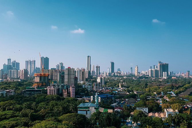 Mumbai in 4 Hours: City Highlights & Local Train Experience - Review of the Mumbai in 4 Hours: City Highlights & Local Train Experience