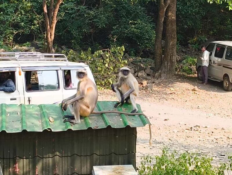 Mumbai Kanheri Caves & Golden Pagoda  A Buddhist Settlement - Final Thoughts: Who Will Love This Tour?