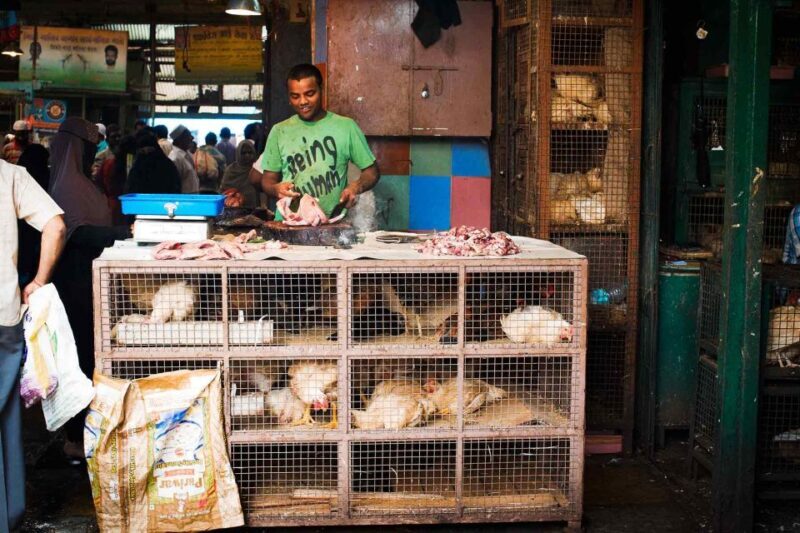 Mumbai: Local Transport & Dabbawallah Tour - Final Thoughts