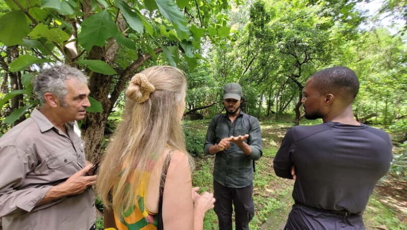 Mumbai: Maharashtra Nature Park Guided Nature Trail - Key Points