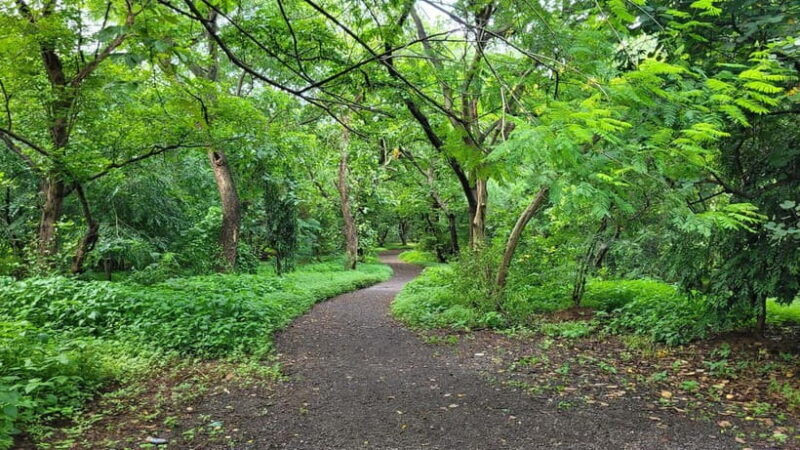 Mumbai: Maharashtra Nature Park Guided Nature Trail - Discovering Maharashtra Nature Park