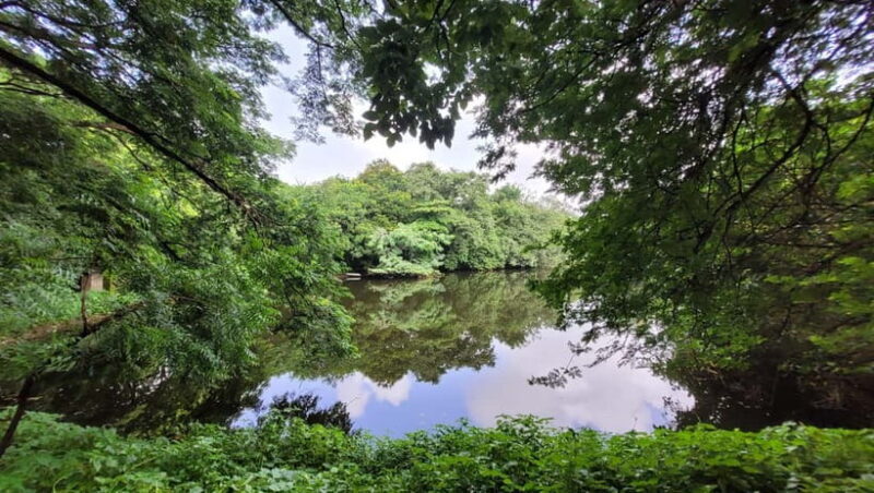 Mumbai: Maharashtra Nature Park Guided Nature Trail - Who Will Love This Experience?