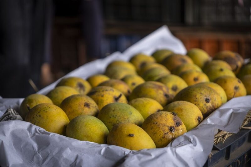 Mumbai Markets & Temples Tour - A Closer Look at the Itinerary and Highlights