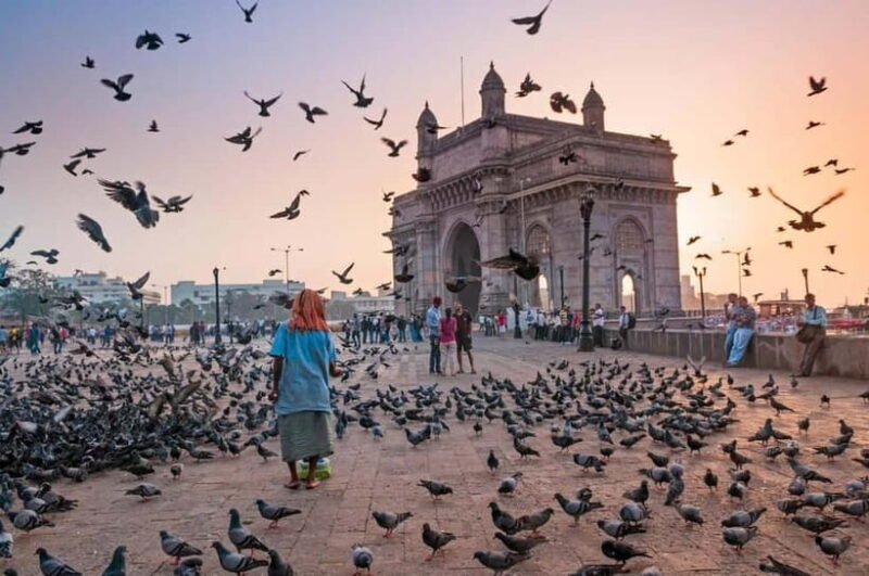 Mumbai Marvels Tour | 4 Hour Private City Tour with Guide - Key Points