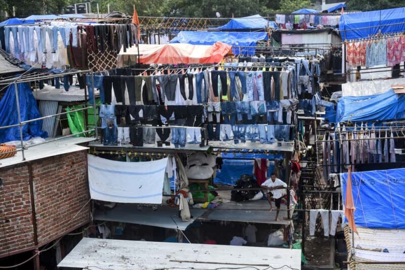 Mumbai Morning Market Tour of Flowers, Fish, and More - The Sum Up