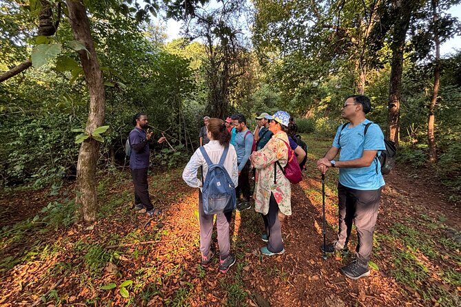 Mumbai Nature Trails  Shilonda + Upper Kanheri + Gaimukh - Exploring Mumbai’s Nature Trails: An In-Depth Review