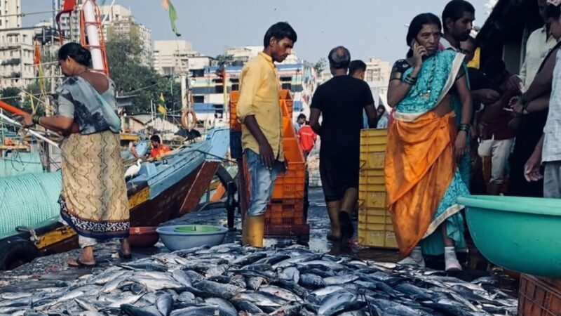 Mumbai: Private Full-Day City Sightseeing tour - Key Points