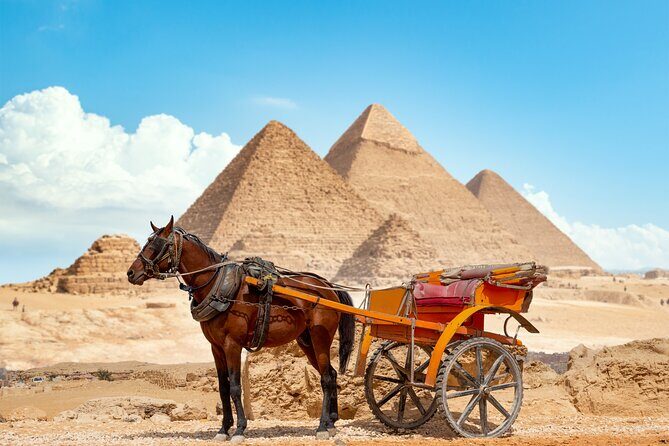 Mummy museum and coptic area and Mohamed Ali mosque - Why You’ll Love This Tour