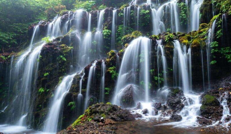 munduk-banyu-wana-and-sekumpul-waterfall-trekking-tour