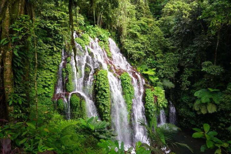 munduk-banyu-wana-and-sekumpul-waterfall-trekking-tour