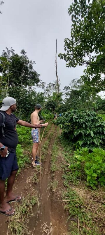 Munduk: Banyumala Twin Waterfall Jungle Trek, Swim & Lunch - A Detailed Breakdown of the Itinerary