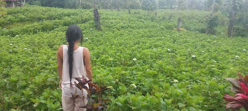 Munduk: Banyumala Twin Waterfall Jungle Trek, Swim & Lunch - Who Should Consider This Tour?