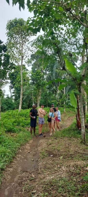 Munduk: Banyumala Twin Waterfall Jungle Trek, Swim & Lunch - FAQ