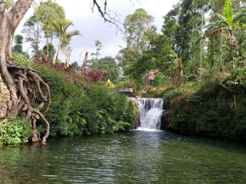 Munduk: Banyumala Waterfalls Hiking Tour - Key Points