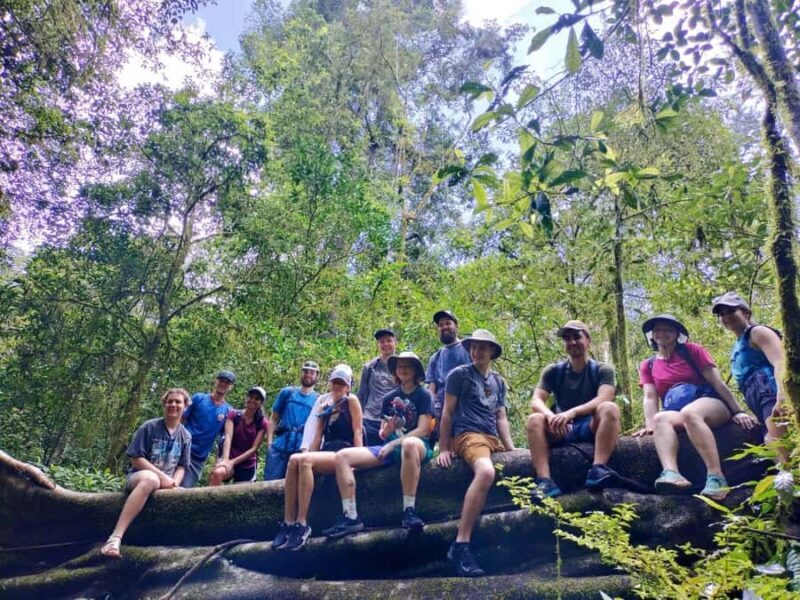 Munduk Jungle Trek & Hidden Waterfalls with Local Guide - An In-Depth Look at the Munduk Jungle Trek & Waterfalls Experience
