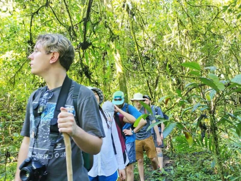 Munduk Jungle Trek & Hidden Waterfalls with Local Guide - What’s Included and How It Works