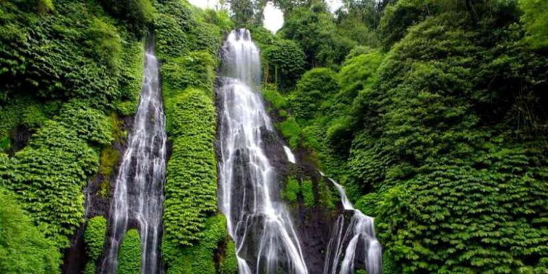 munduk-jungle-trekking-day-tour