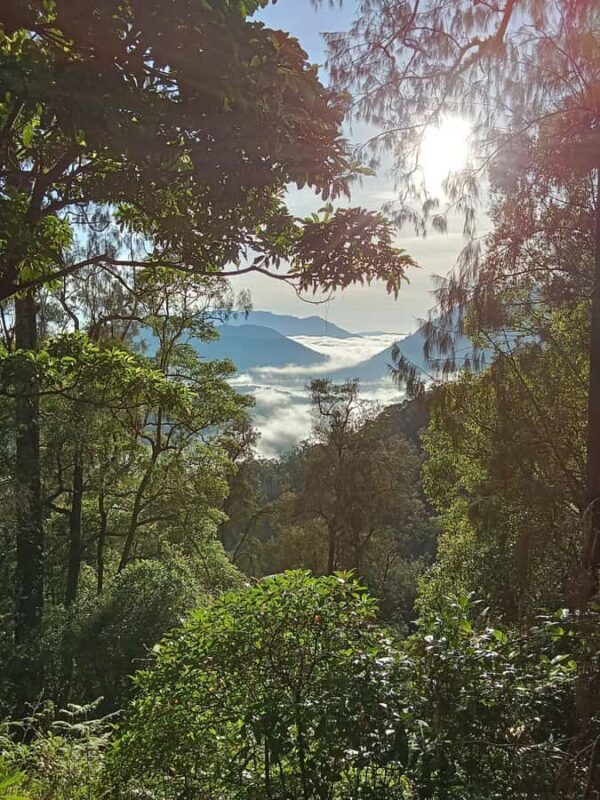 Munduk: Mount Shangyang Trek with Local Guide - Detailed Breakdown of the Itinerary