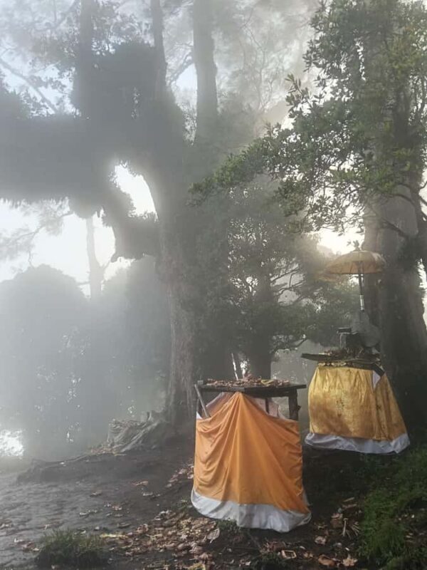 Munduk: Mount Shangyang Trek with Local Guide - Who This Tour Is Best For