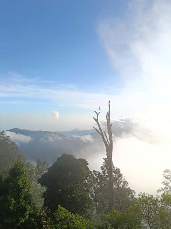 Munduk: Mount Shangyang Trek with Local Guide - The Sum Up