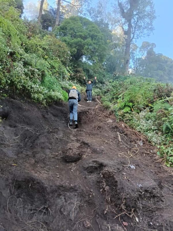 Munduk: Mount Shangyang Trek with Local Guide - Frequently Asked Questions