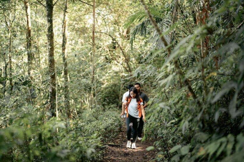 munduk-twin-lake-jungle-hike-ulun-danu-temple-waterfall