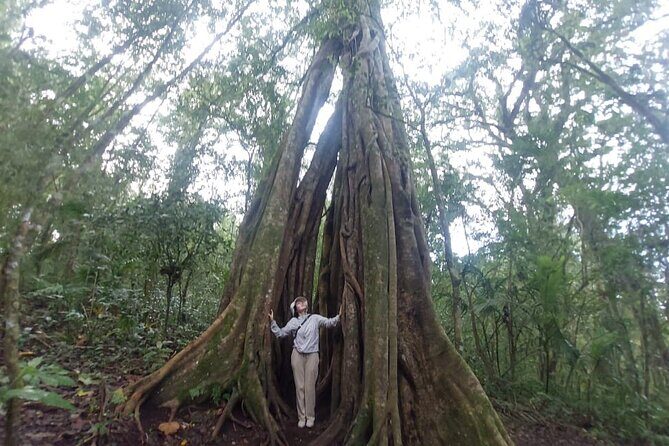 Munduk Twin Lake Trekking and Canoing - Why This Tour Works Well