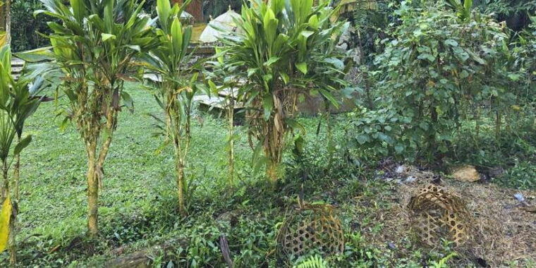 munduk-twin-lakes-jungle-hike-with-lake-canoe-and-waterfall