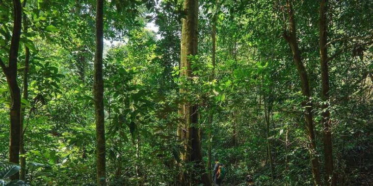 munduk-twin-lakes-jungle-hike-with-lake-canoe-and-waterfall