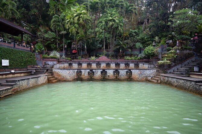 Munduk Waterfall Dolphin and Snorkeling Tour - Authentic Experiences & Guide Insights