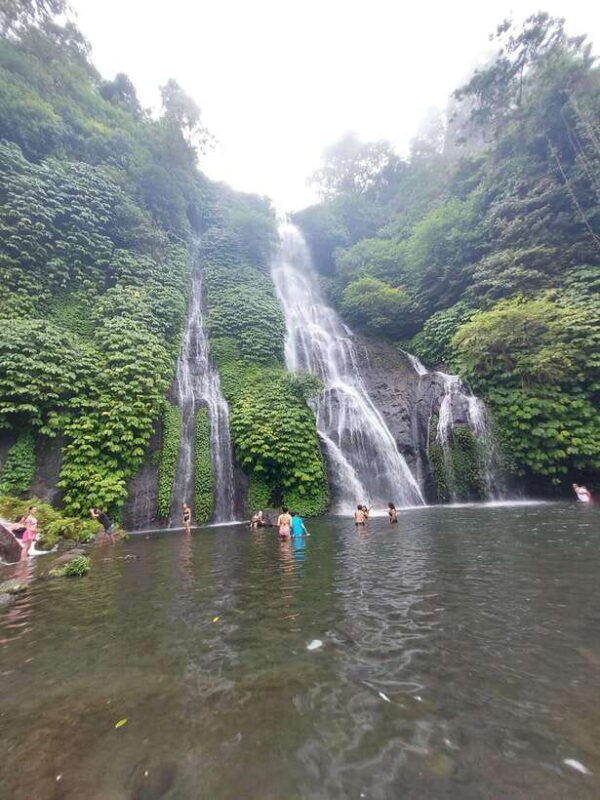 munduk-waterfallcoffee-plantations-hydrangea-trail