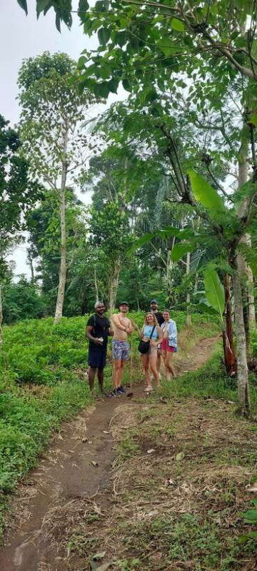 munduk-waterfallcoffee-plantations-hydrangea-trail