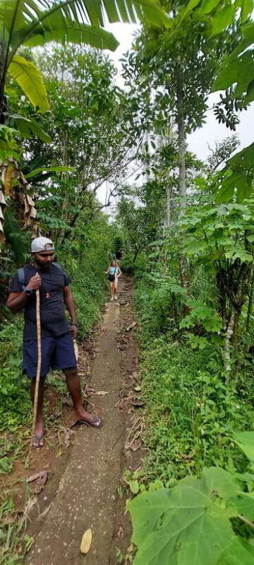 munduk-waterfallcoffee-plantations-hydrangea-trail