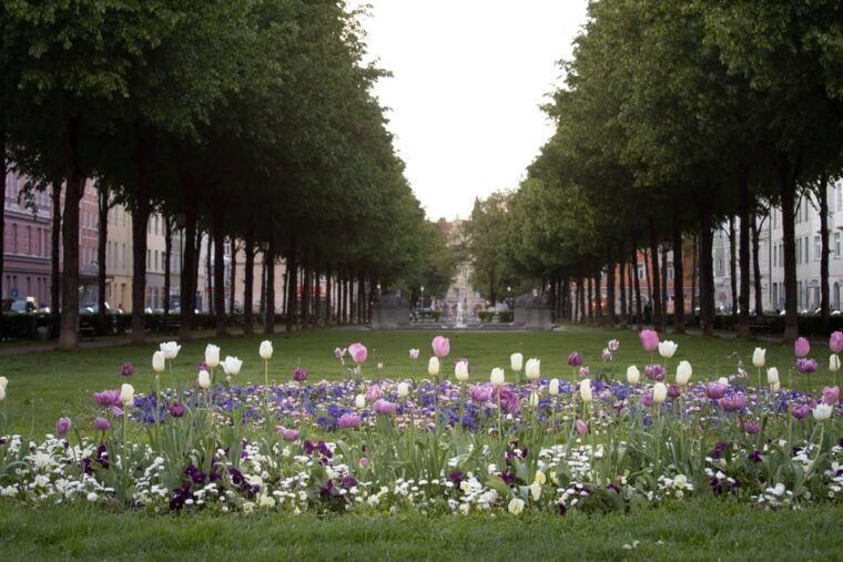 munich-3-hour-food-tour-through-haidhausen-in-german
