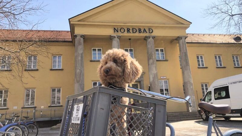 munich-boheme-schwabing-guided-neighbourhood-walk