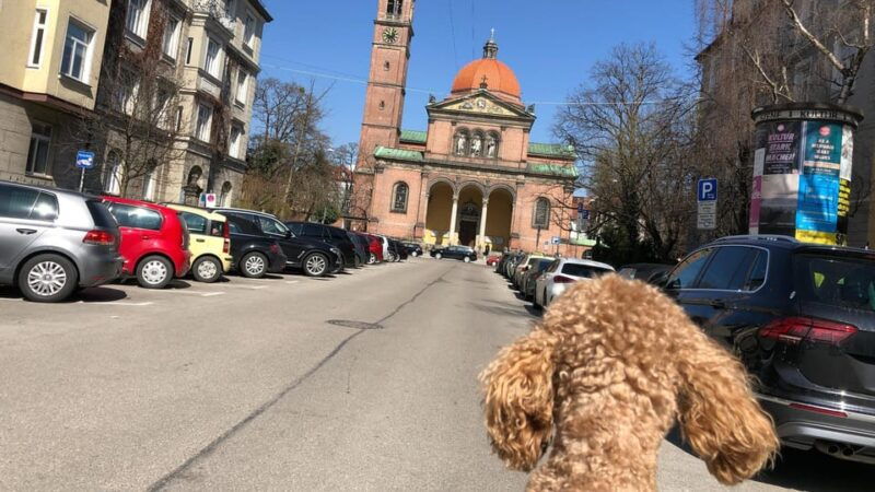 munich-boheme-schwabing-guided-neighbourhood-walk