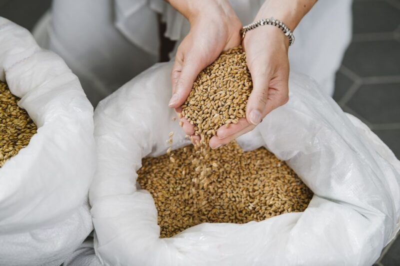 munich-brewing-course-with-tour-and-tasting