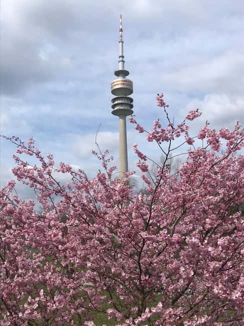 Munich: Bulli Tour - What Makes This Tour Stand Out