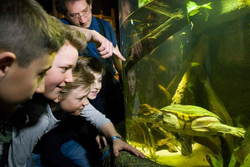 Munich: Day Ticket to Sea Life - Key Points