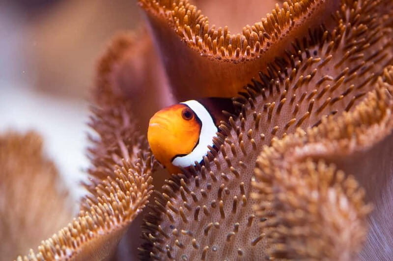 Munich: Day Ticket to Sea Life - Final Thoughts