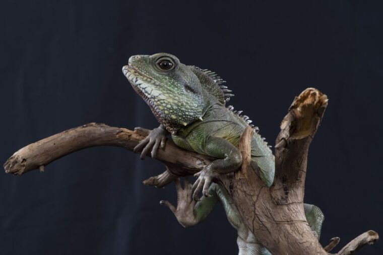 munich-day-ticket-to-sea-life