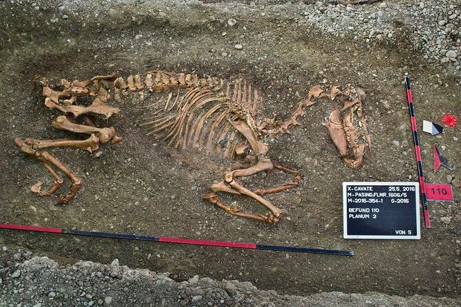 munich-macabre-group-walking-tour